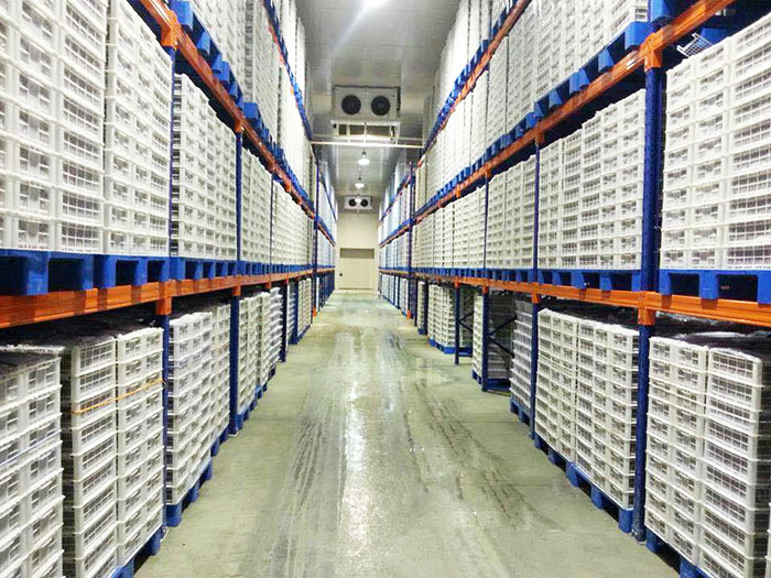 冷庫專用貨架與普通貨架對比有哪些區別？